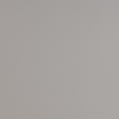 MG2431 - Gris Moyen Brillant 2